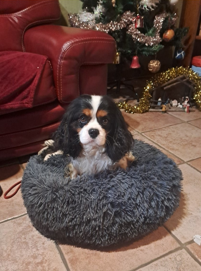 Ushuaia dit marley De la geode