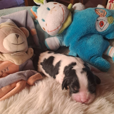 B......... DE LA CITE D'HINKA